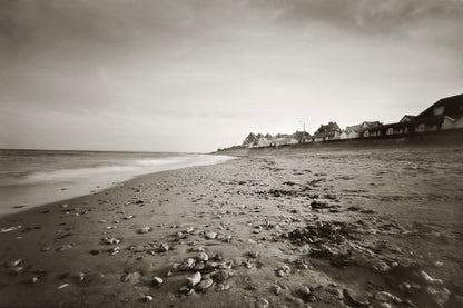 sample image from lerouge 69mk2 analog pinhole camera