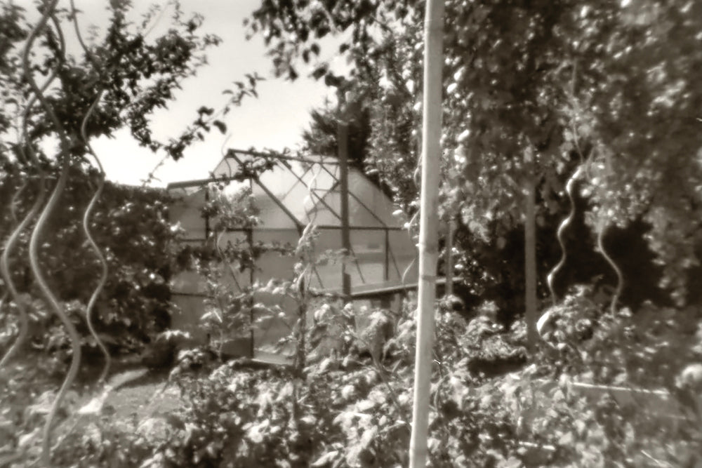 sample image from lerouge 135mk2 analog pinhole camera