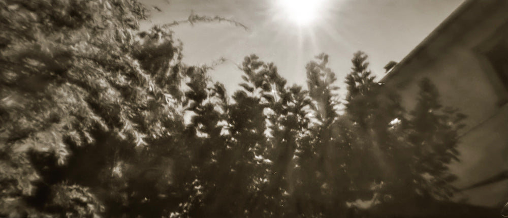 sample image from lerouge 135Lmk2 analog pinhole camera