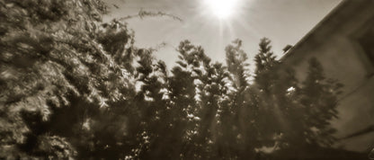 sample image from lerouge 135Lmk2 analog pinhole camera