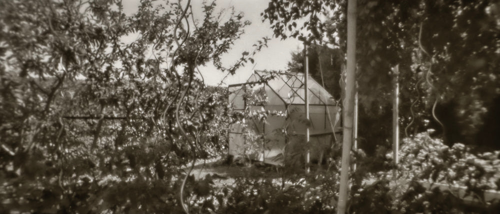 sample image from lerouge 135Lmk2 analog pinhole camera
