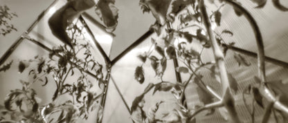 sample image from lerouge 135Lmk2 analog pinhole camera