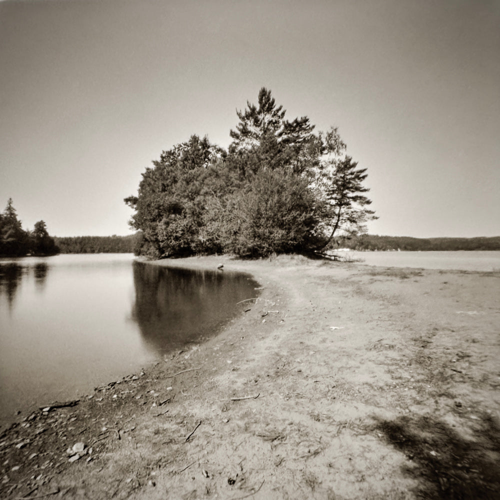 sample image from lerouge 66mk2 analog pinhole camera