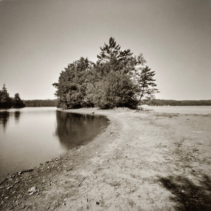 sample image from lerouge 66mk2 analog pinhole camera