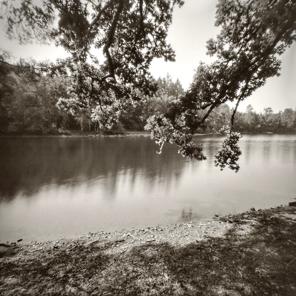 sample image from lerouge 66mk2 analog pinhole camera
