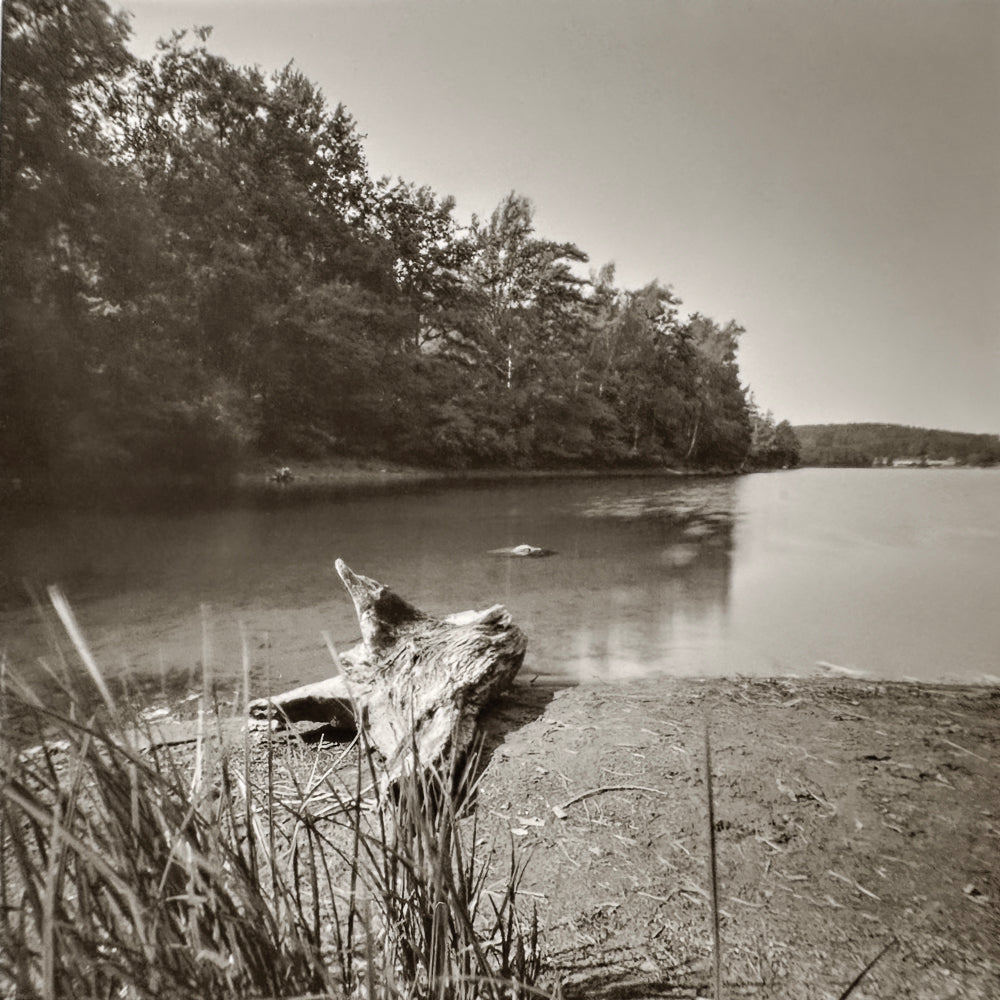 sample image from lerouge 66mk2 analog pinhole camera