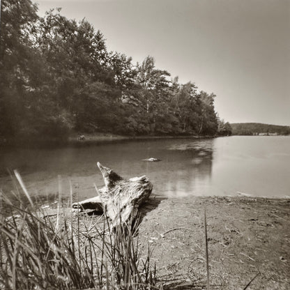 sample image from lerouge 66mk2 analog pinhole camera