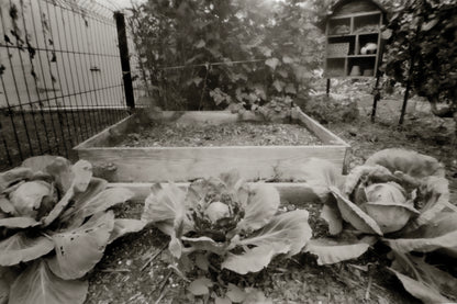 sample image from lerouge 612mk2 Multi format analog pinhole camera