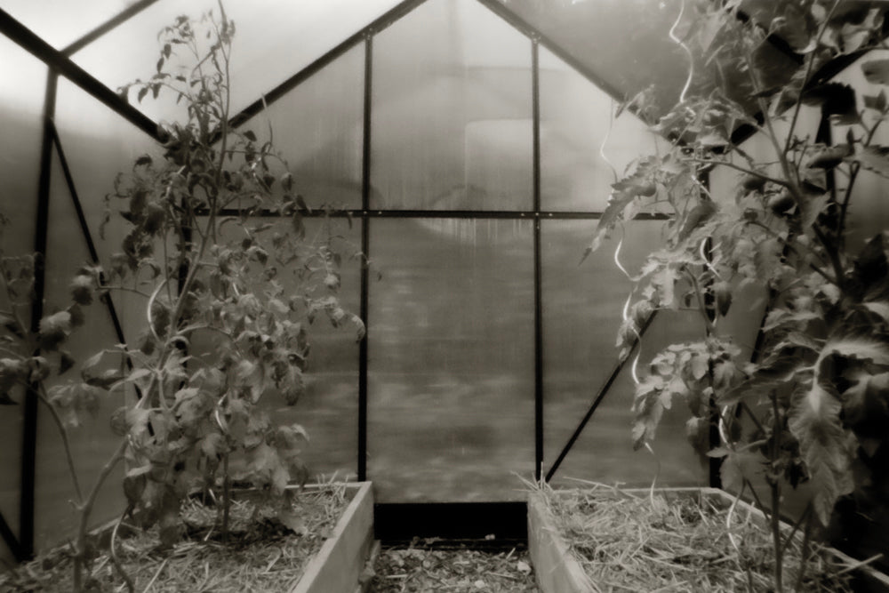 sample image from lerouge 612mk2 multi format analog pinhole camera