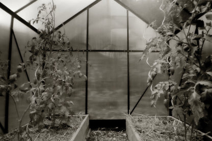 sample image from lerouge 612mk2 multi format analog pinhole camera